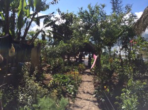 The path we walk everyday