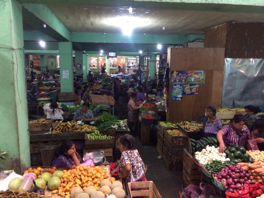 Overview of the market